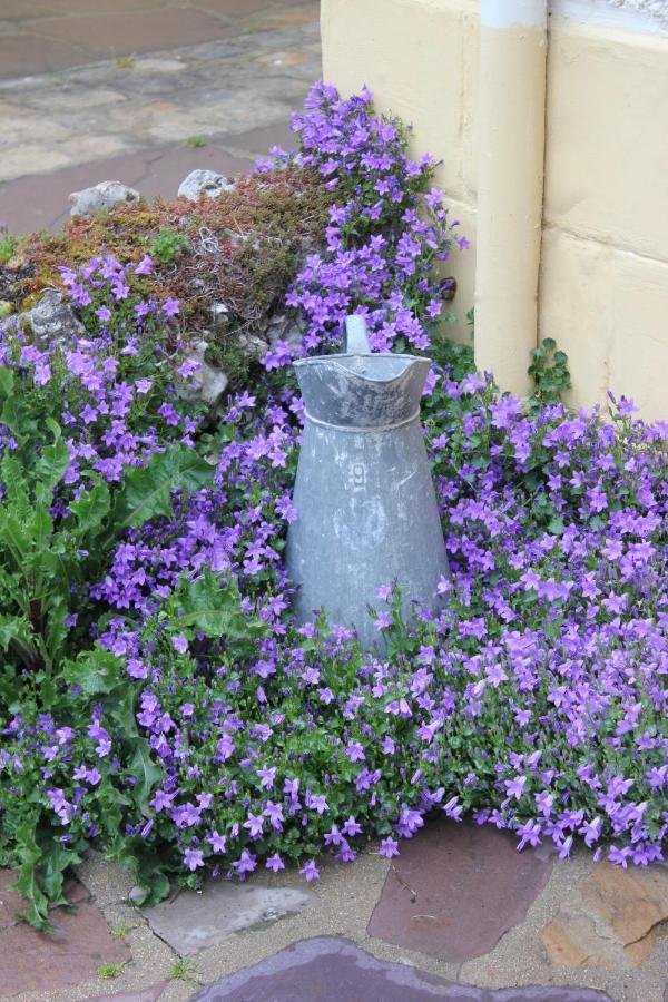 Croth Le Chemin Du Village المظهر الخارجي الصورة